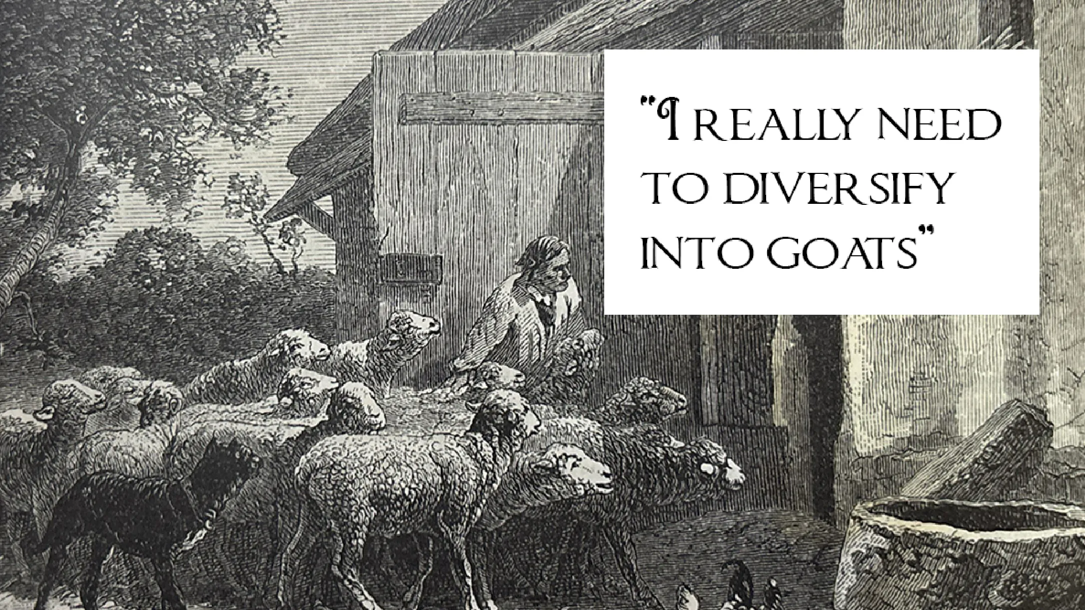 A shepherd with sheep thinks, I really need to diversify into goats, in a humorous caption.